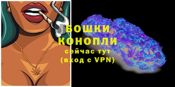 твердый Переславль-Залесский