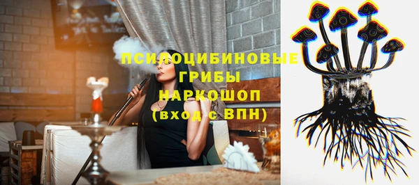 бошки Пестово